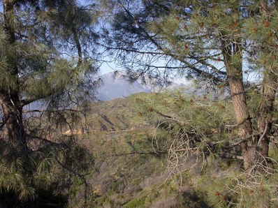 Image of dield site at San Dimas Experimental Forest, Los Angeles County, California, USA