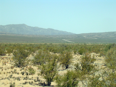Image of field site at Talacasto, San Juan, Argentina